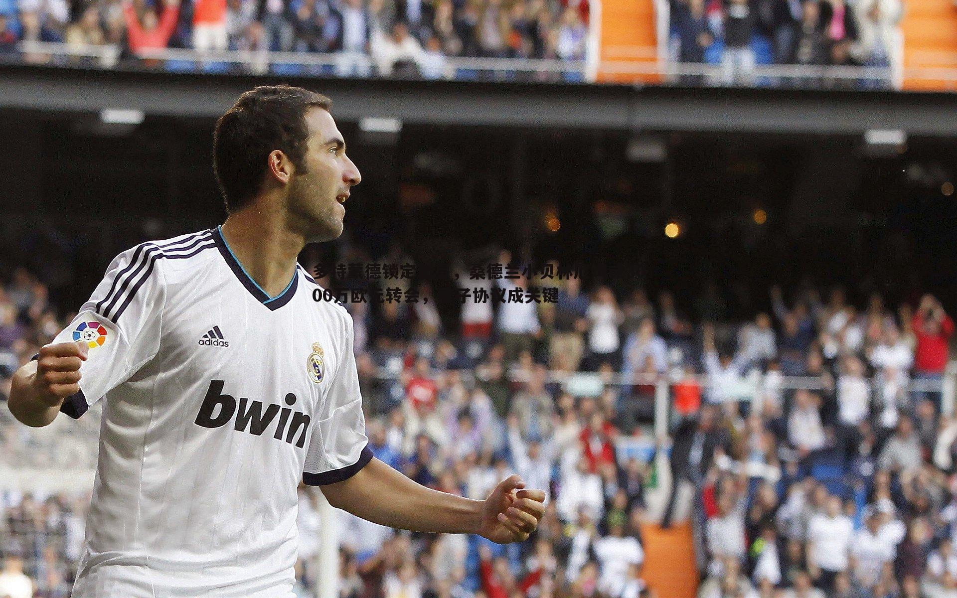 多特蒙德锁定新星，桑德兰小贝林厄姆或3000万欧元转会，君子协议成关键