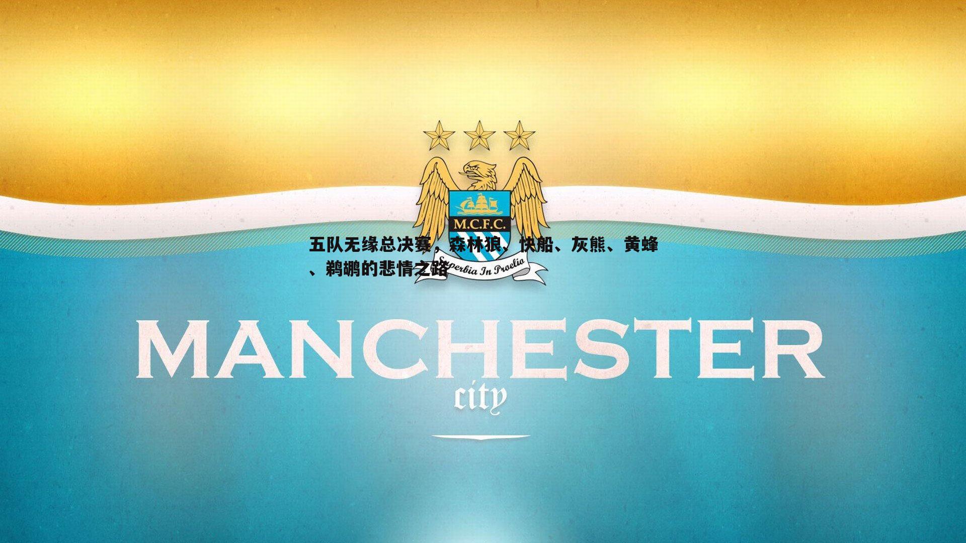 五队无缘总决赛,森林狼、快船、灰熊、黄蜂、鹈鹕的悲情之路