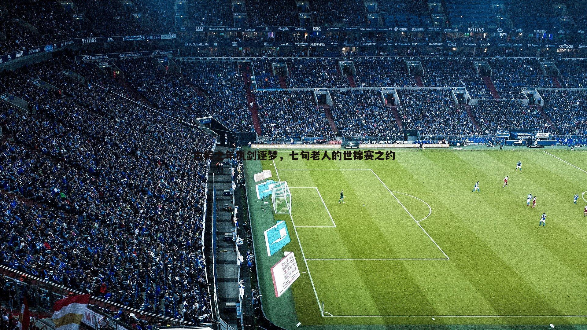 古稀之年执剑逐梦，七旬老人的世锦赛之约